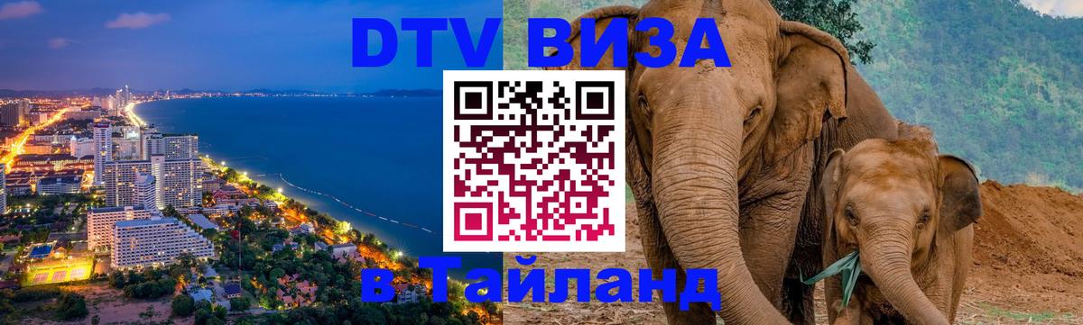 Оформление DTV визы под ключ: стоимость и тарифы, только загранпаспорт - 04.10.2025 